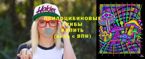 гидра Бугульма