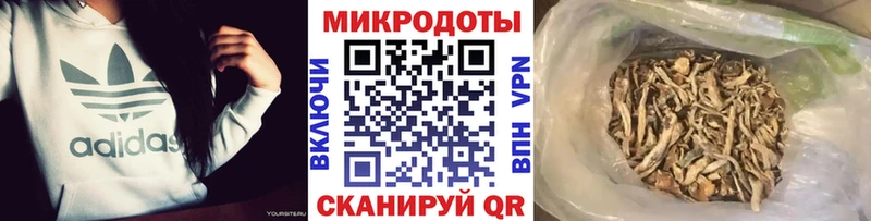 Купить где  Великий Устюг  Псилоцибиновые грибы Magic Shrooms 