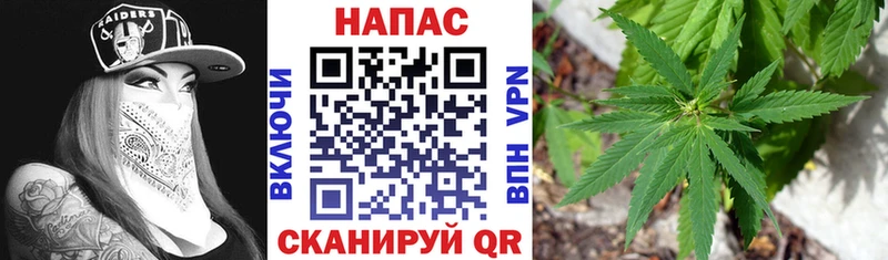 Купить  Великий Устюг  Шишки марихуана план 